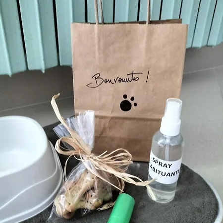 Casa Lamberti 公寓 卡瓦德蒂雷尼